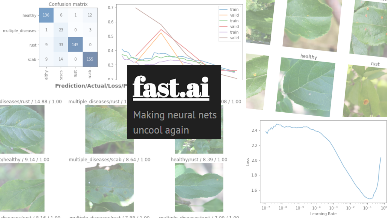Plant Pathologies: fastai’s wonders in Computer Vision